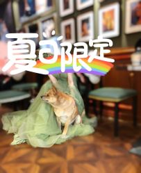 -米莱摄影写真(五大道别墅店)