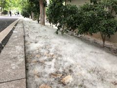 -南京大学-第9食堂