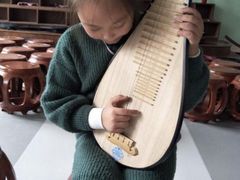 -音歆国艺馆·民乐培训(双榆树店)