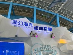 -泉城欧乐堡海洋极地世界