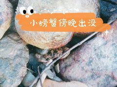 -杨梅坑