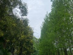 -重庆园博园