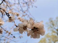 -颐和园