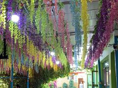 -马白开来特色羊排揪片子  (总店)