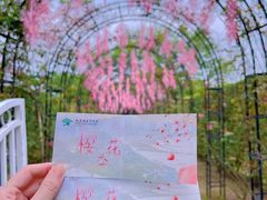 -福建鲤鱼洲酒店