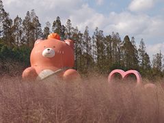 -嘉北郊野公园