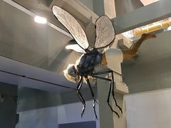 -上海当代艺术博物馆-地面停车场