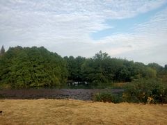 -梁鸿国家湿地公园