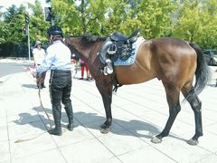 android_upload_pic-大连人民广场