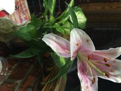 iphone_upload_pic-眼镜哥浦江夜宵大本营