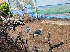 -济南野生动物世界