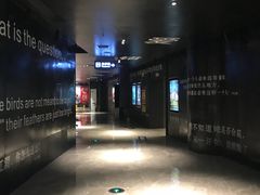 -银兴国际影城(星汇维港店)