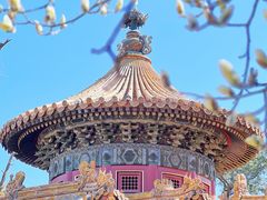 -故宫博物院(故宫)