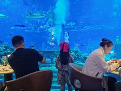 -亚特兰蒂斯•OSSIANO奥西亚诺海底餐厅