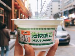 德禄酸奶-德禄酸奶(莫家街店)
