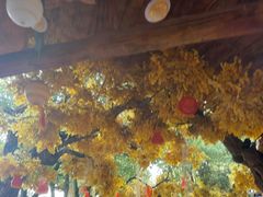 -横店影视城梦幻谷园区