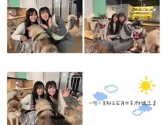 -Husky Go! 哈士奇体验馆·宠物咖啡厅狗咖