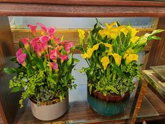 -双季花艺园艺市场(浦东店)