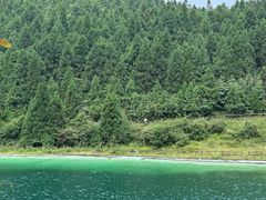 -武陵山森林公园