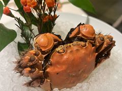 -顺峰(农展馆店)