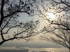 -兴福老面馆(寺路街店)