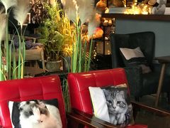 -咖法森林·咖啡  酒吧(天河店)