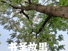 -绍兴书圣故里景区
