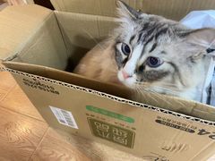 -白兔子密室(长寿路店)