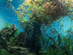 -太平洋海底世界