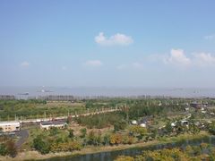 -上海滨江森林公园
