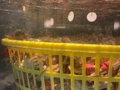 -禾斗海鲜自助(市南银座店)