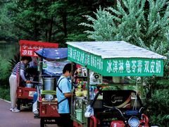 -桤木河湿地公园