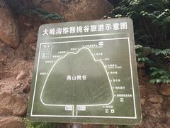 -大岭沟猕猴桃谷风景区