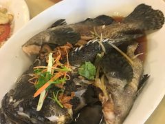 老虎斑-真浪花园海鲜餐馆