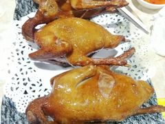 -石岐乳鸽村(南海第三分店)