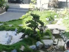 -龙都儿童医院