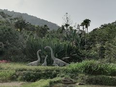 -呀诺达热带雨林