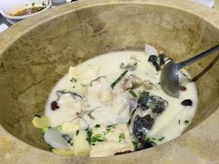 -云中鱼蒸汽石锅鱼(川沙百联店)