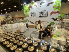 -南宁国际会展中心
