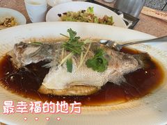 清蒸鲈鱼-红樱桃·欢乐餐厅(太原里店)