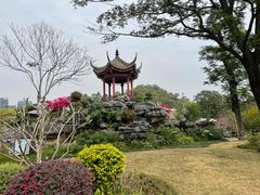 -顺峰山公园