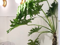 -7mall美食潮地标