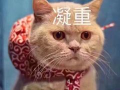 -鲜芋仙(南开大悦城店)