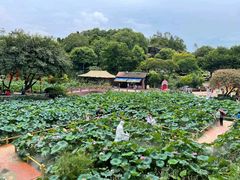 -广州莲花山旅游区
