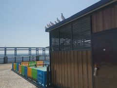 -黑石礁公园
