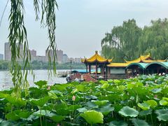 -济南大明湖景区