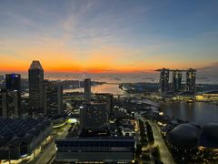 -新加坡瑞士史丹福酒店