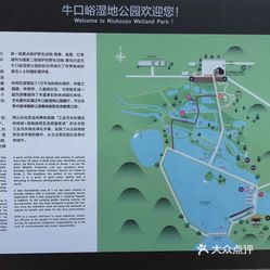 城关镇有多少人口