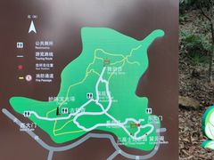 -上海佘山国家森林公园天马山园