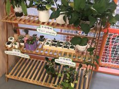 -小门牙好性格托育(北外滩中心)